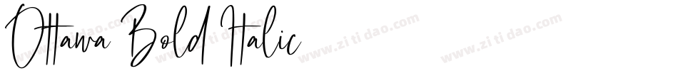 Ottawa Bold Italic字体转换
